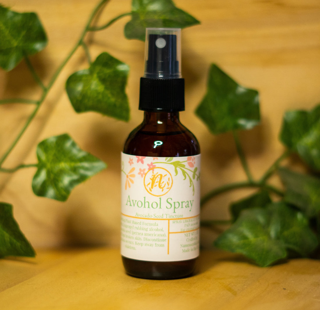 Avocado Seed in Traditional Herbalism: A Minimalist Botanical Preparation