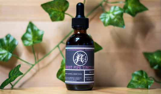 Ghost Pipe Tincture Peace and Pain In a Bottle